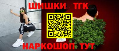 тгк Будённовск