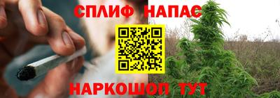 тгк Будённовск