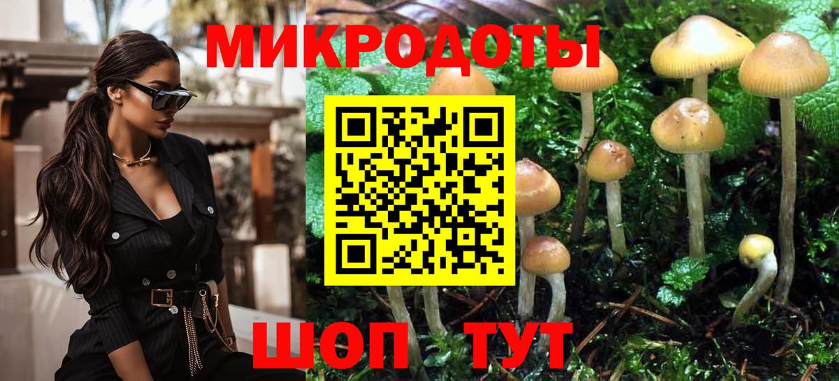 Галлюциногенные грибы Psilocybine cubensis  Вход с VPN  Кондопога  Галлюциногенные грибы Magic Shrooms 